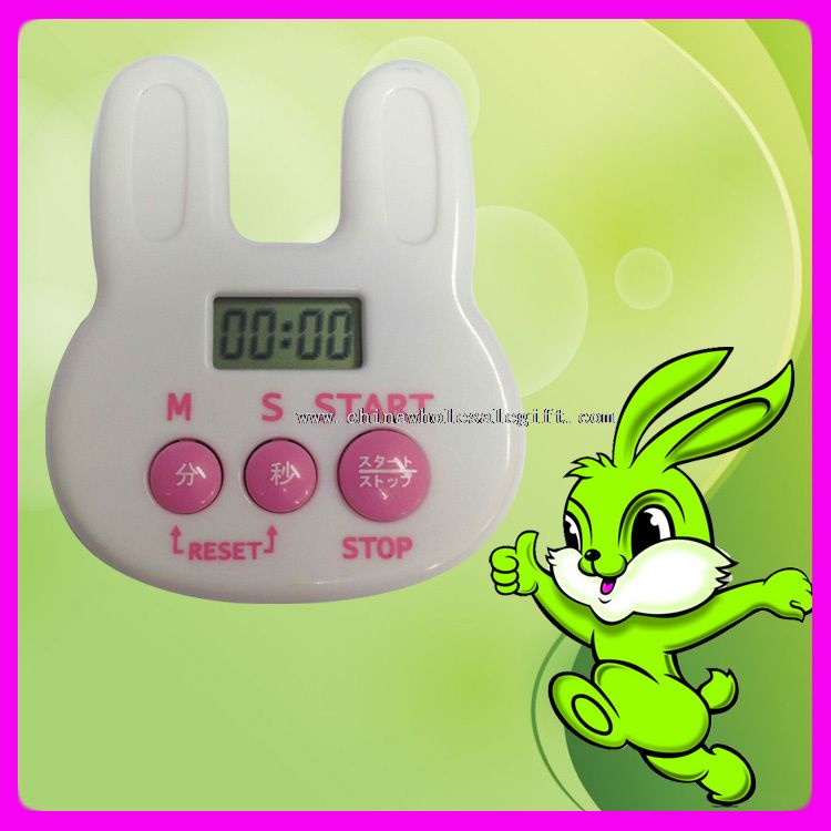 Kitchen countdown timer