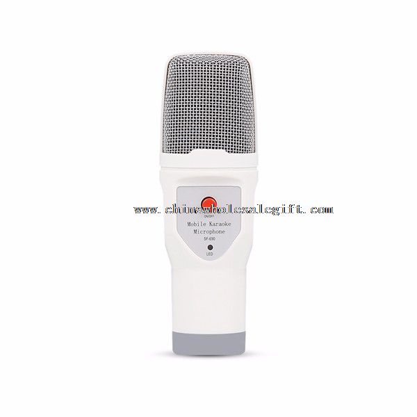 Mini handheld mobile microphone
