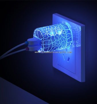 Travel AC Power Adapter with 2 Ports