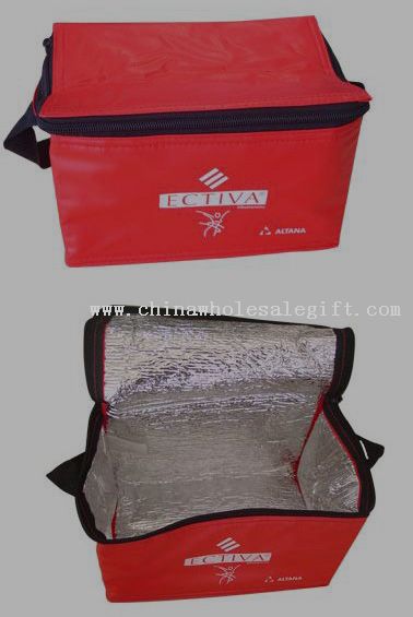 Cooler bag