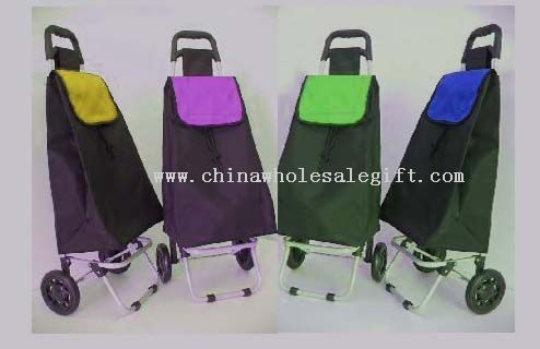 shopping trolley with 2 wheels
