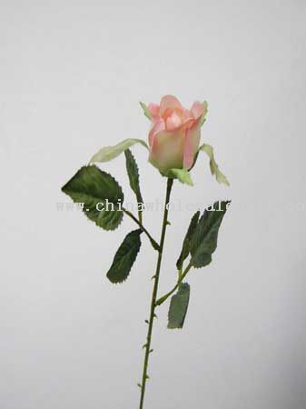 Single Rose Bud