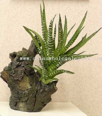 Sm.Polywood