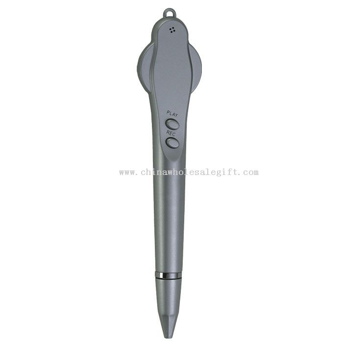 Recorder pen