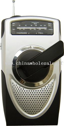 AM/FM Crank radio with speaker&antenna