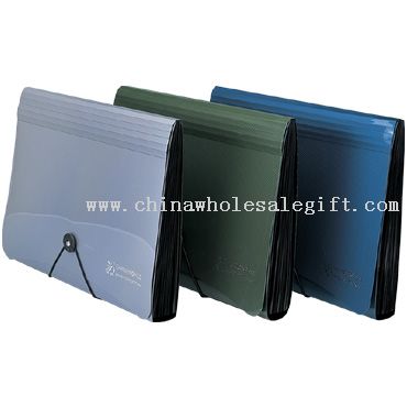 13 LAYERS DIAGONAL TWO COLOR ORGAN BAG