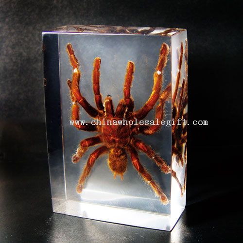 Big Tarantula Crystal Paperweight