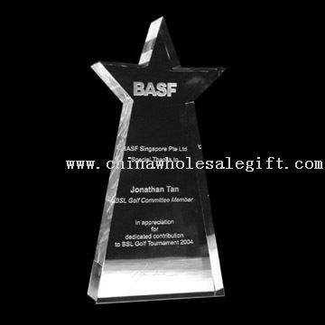 Crystal Star Pillar Award