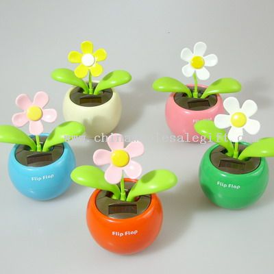 solar apple with flower