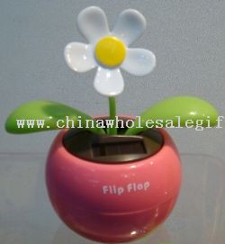Solar swing flower