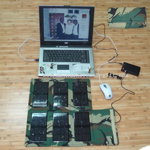 Portable solar panels