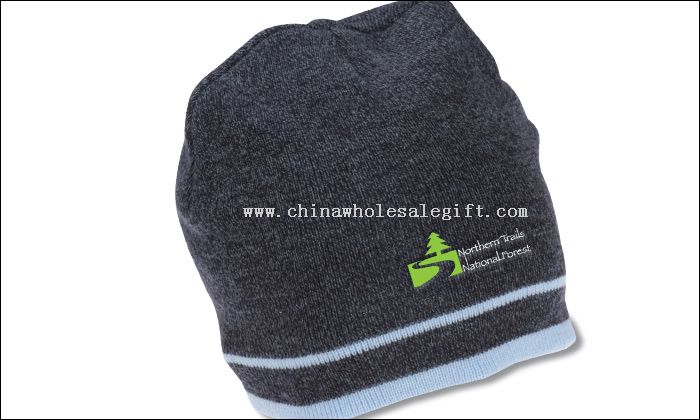 Double Stripe Knit Beanie