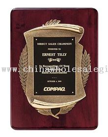 Bronze Frame Recognition Award Plaques