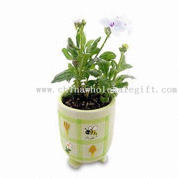 Secret Garden with DIY Plant Production Process, Made of Ceramic Material