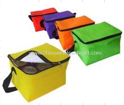 PP Non-Woven Cooler Bags