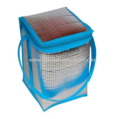PE Aluminium Cooler Bag