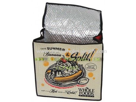 Thermal Insulated Cooler Bags