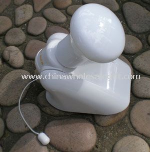 Portable & Wall-Mountable Lamps