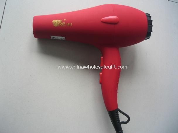Professional Hair Dryer