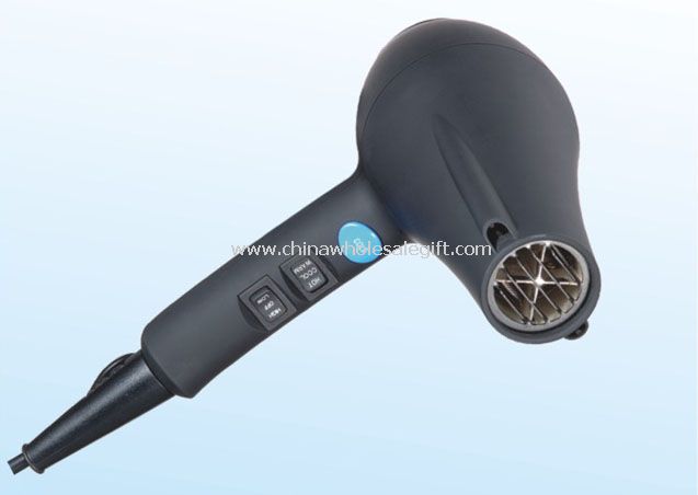 Professional Hair Dryer