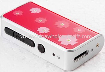 Portable MP3 Player