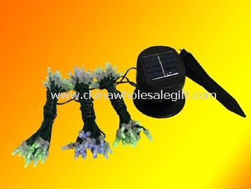 LED Solar Christmas String Light