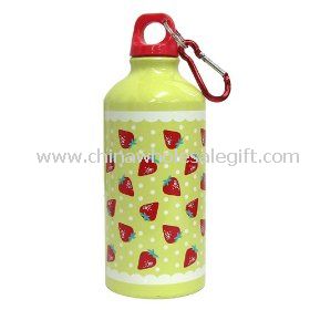 Aluminum Sports Water Bottle