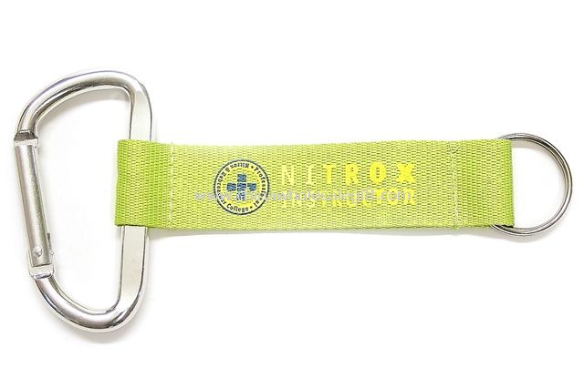 Carabiner Lanyard