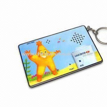 Digital Photo Frame Keychains/Voice Recorder Keyring
