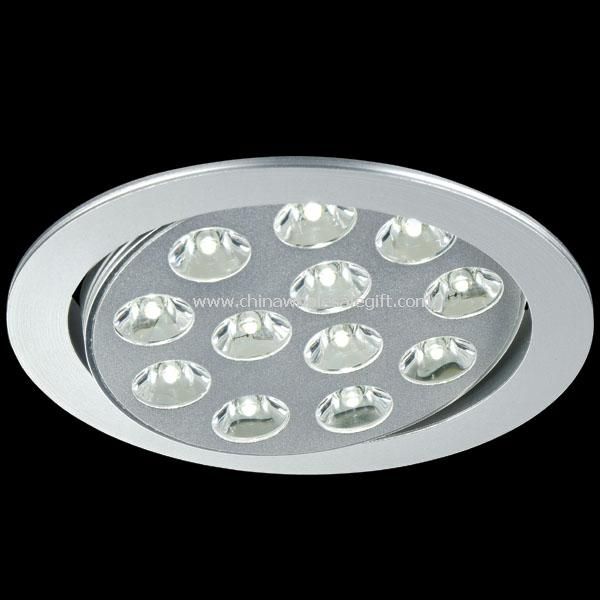 LED Down Light