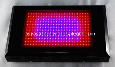 600w led growing lamps