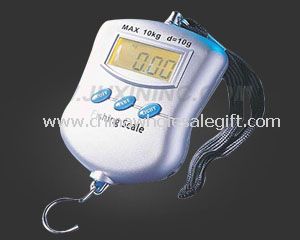 Handle Fishing Scale