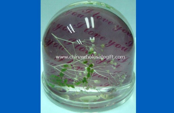 water ball photo frame