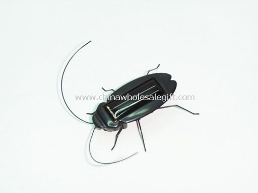 Solar cockroach