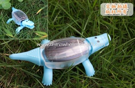 Solar crocodile