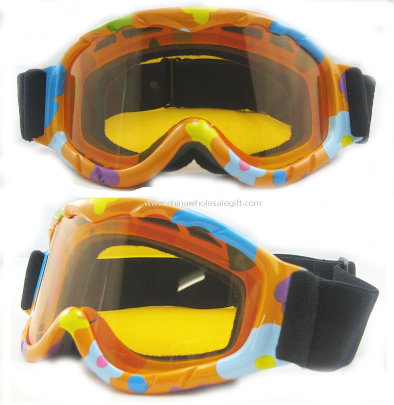 SKI Goggle