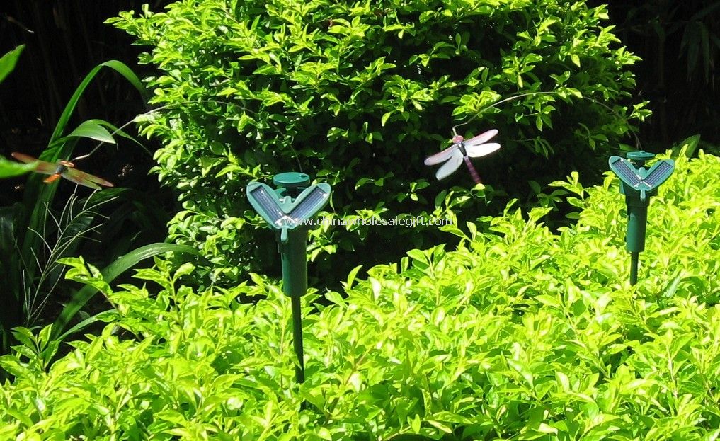 Flying Solar Dragonfly