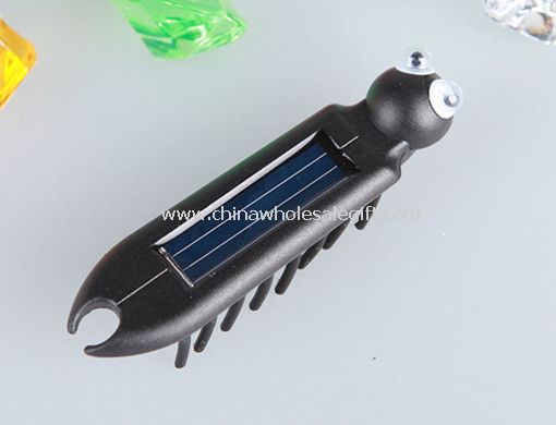 Solar number of feet insect