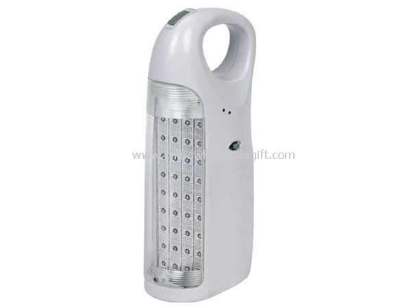 Rechargeable portable light