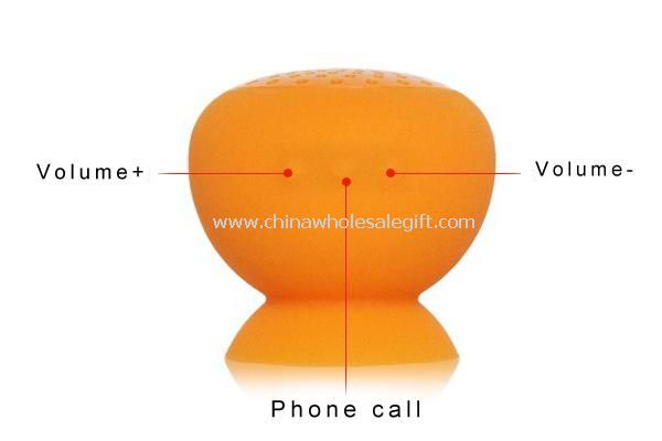 Bluetooth Mini Speaker