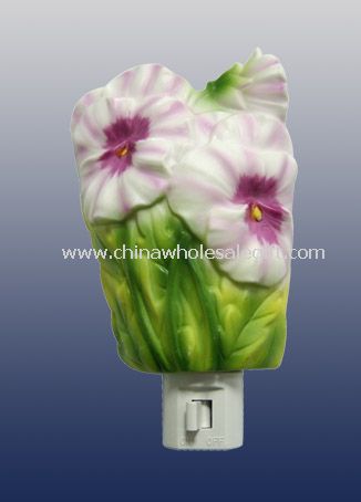 Incandescent Night Light