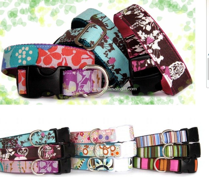 adjustable dog collar