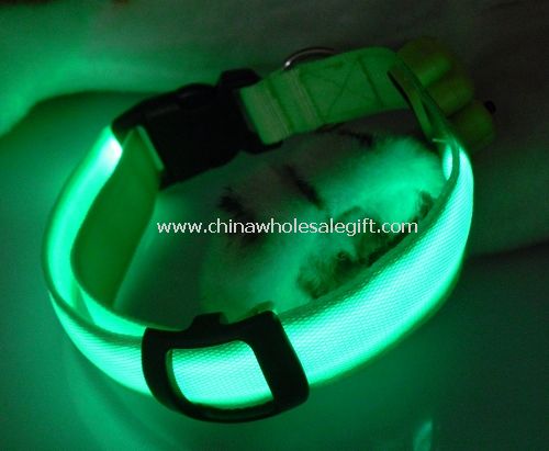 blinking pet collar