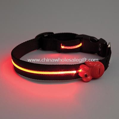 lighted pet collar