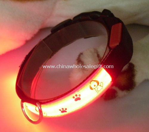lighting up dog collar