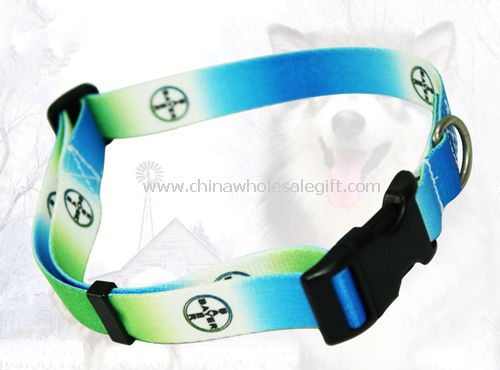 Pet collar