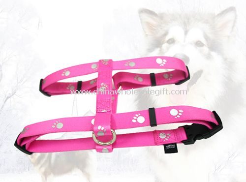 Pet harness