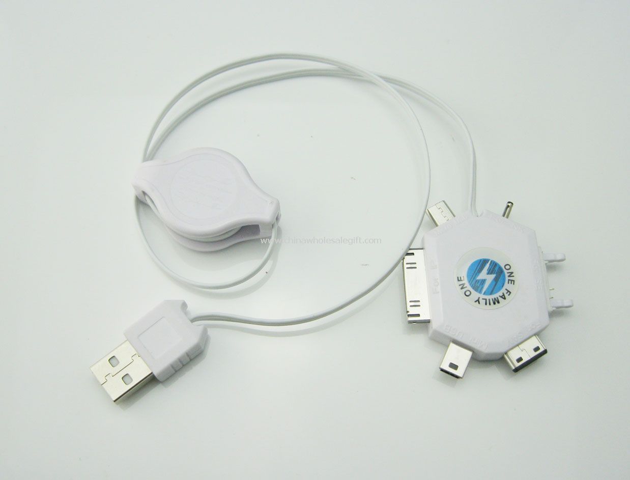 12-in-1 charging cable