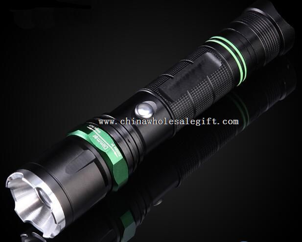 Outdoor Torch