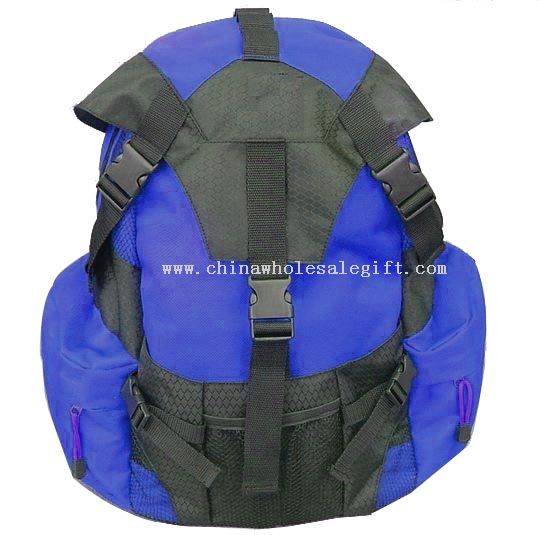 Backpack With CD Player Holder